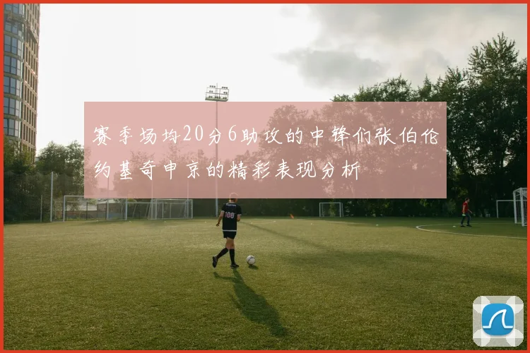 赛季场均20分6助攻的中锋们张伯伦约基奇申京的精彩表现分析